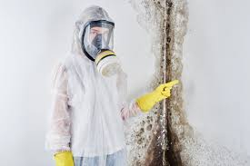 Mold Remediation for Vacation Homes